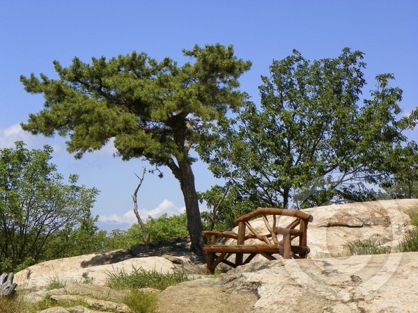 Relaxing with a view