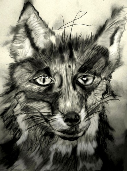 Renard
