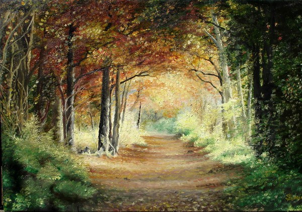 Tunnel in Wood