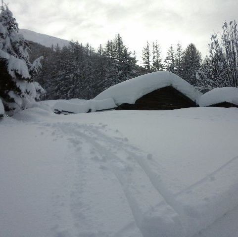MUCH SNOW