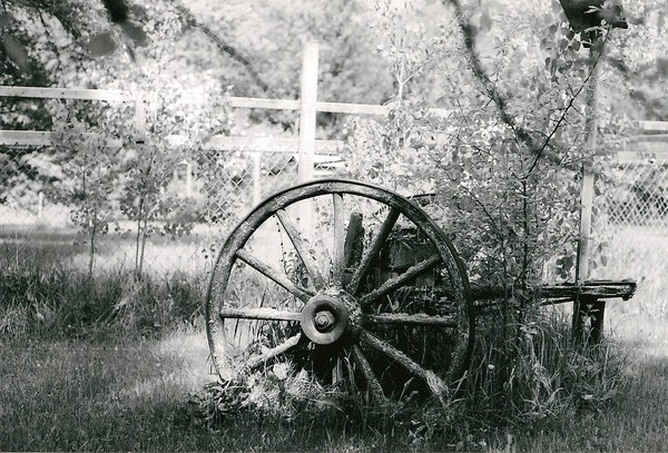 old wagon wheel