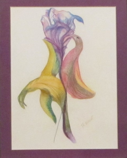 Tulip Petal Doves