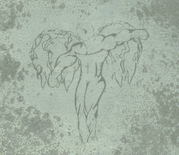 Fallen Angel