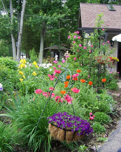 BETTY'S GARDEN