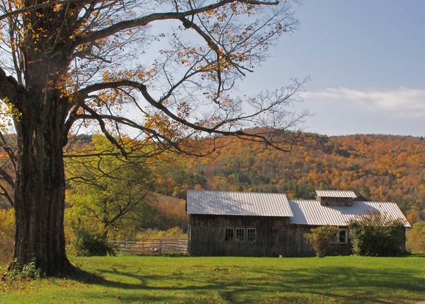 Berkshires #4 10/17/2010