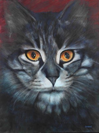 The Eyes of Kiki