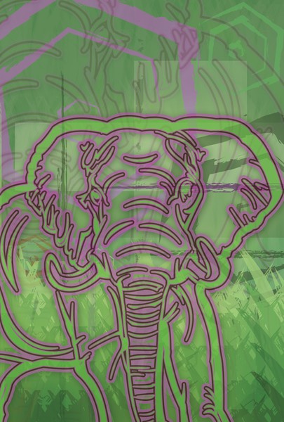 elephant bd 1