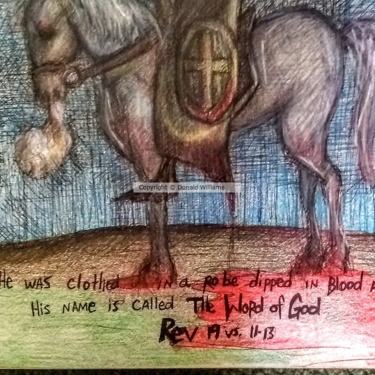 From the archival sketchbook of DonTWms