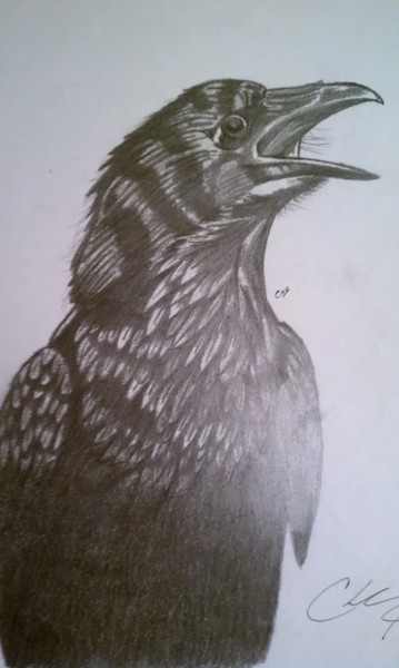 Black Raven