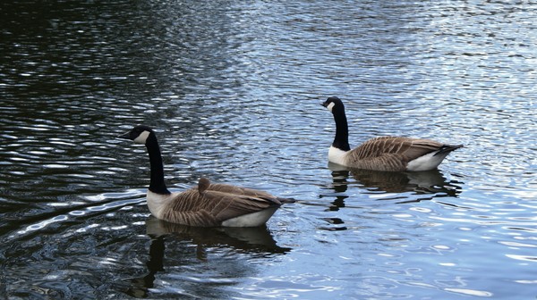 On The Water