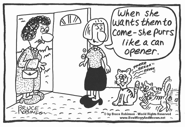 BOW WOWS & MEOWS® CAT Cartoon - 