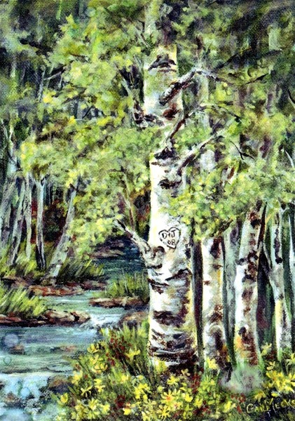 aspens 1