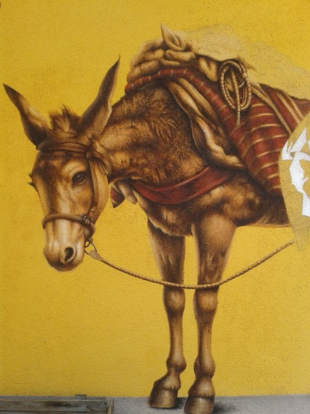 Mennomex Store Mural