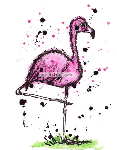 Flamingo