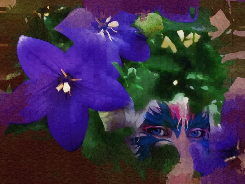 Flowers1