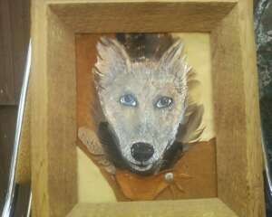  Dog painted on feather