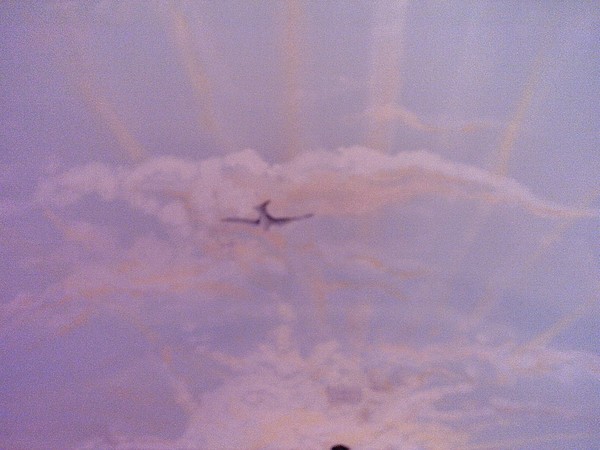 chapel ceiling2 - Copy