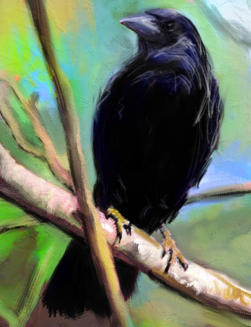 Crow 3