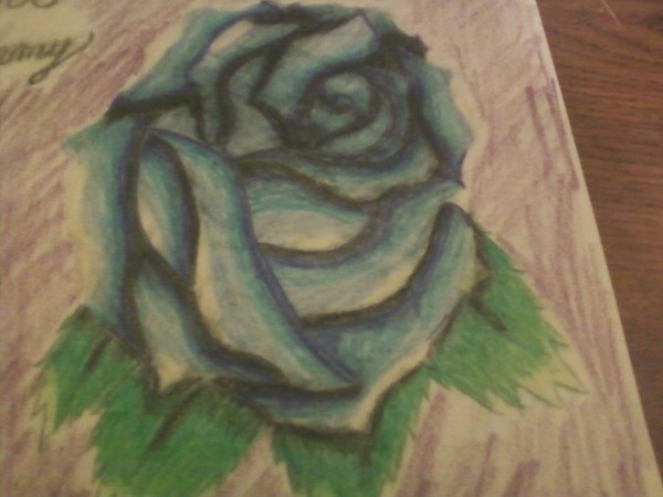 Blue rose 2
