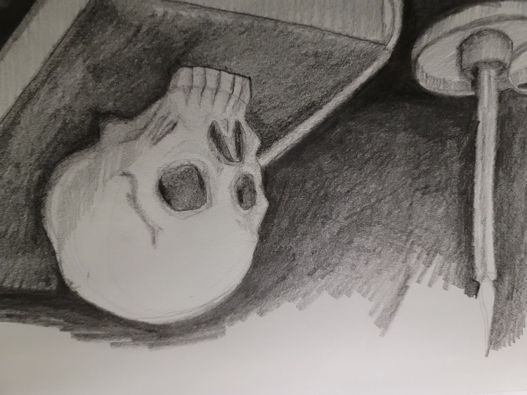 Skull iii