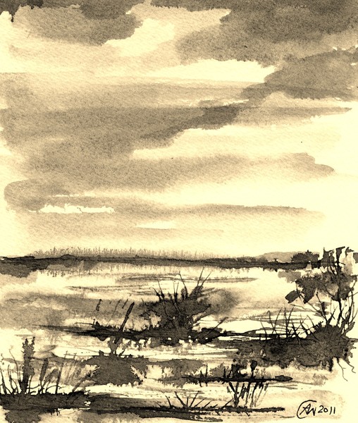 Salt Marsh