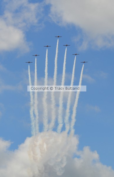 snowbirds III