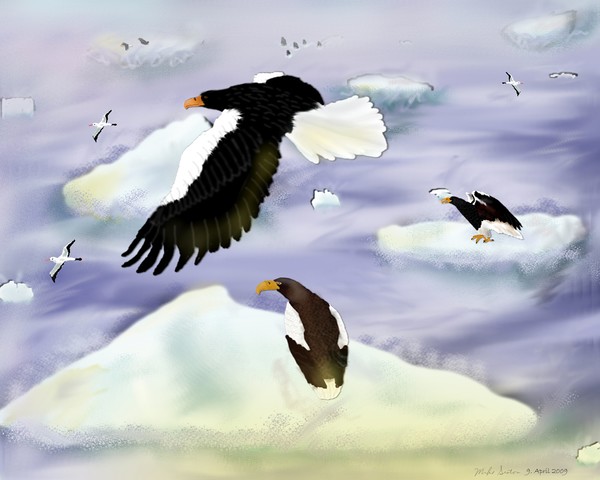 Stellar Sea Eagle Island