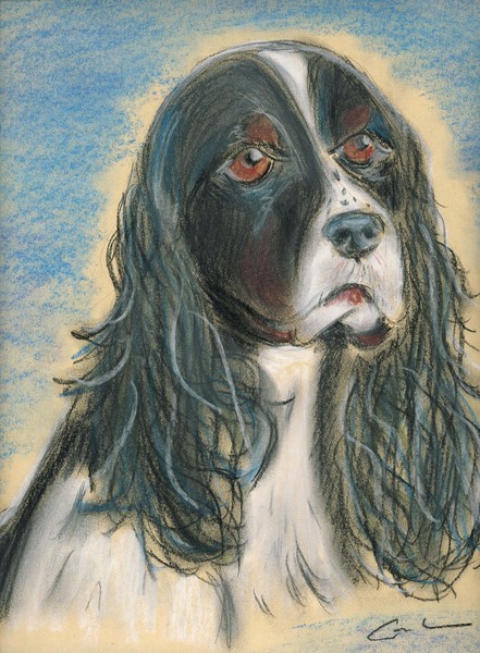 Gypsy Rose