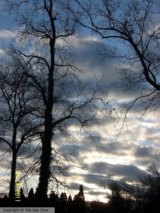 Dawn, Port Jefferson, NY, USA, 12-14-2011