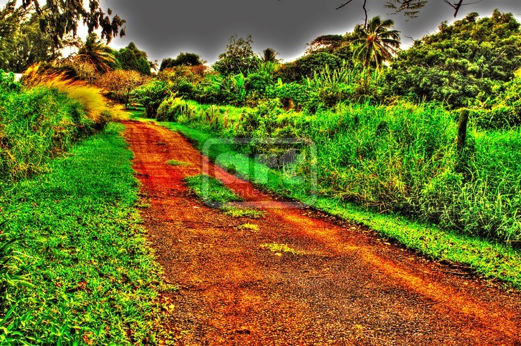 OLD ROAD HAWAII