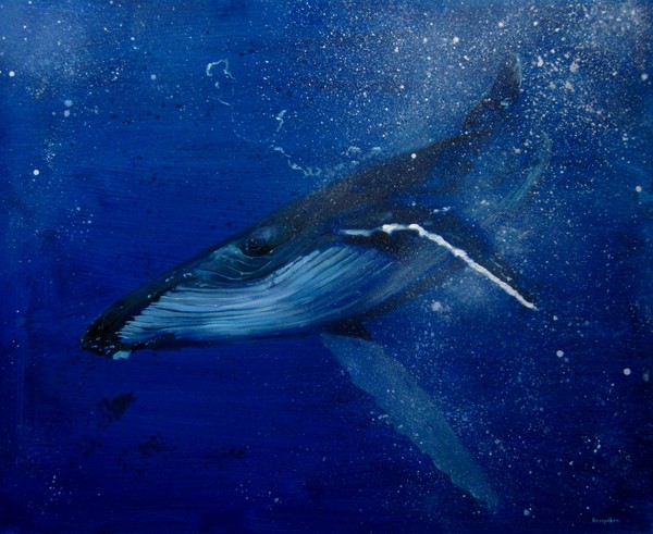 The Whale