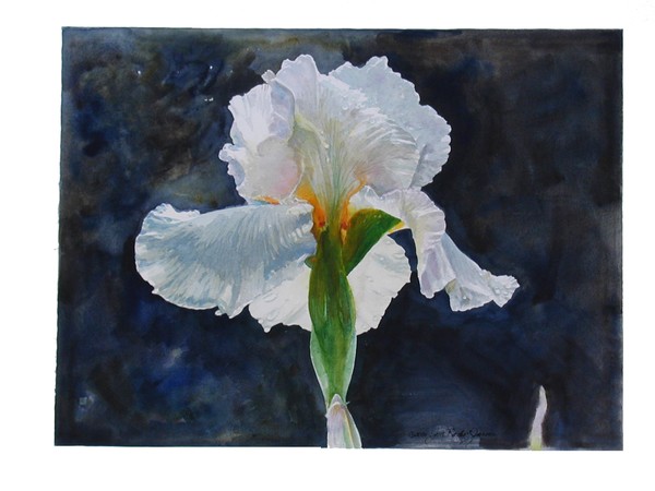 First Iris