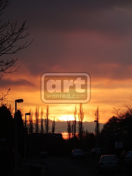 Winter sunset