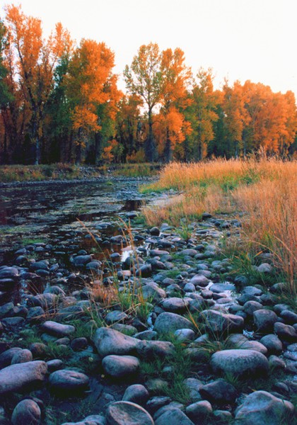 Autumn Sunset Along the Gunnison