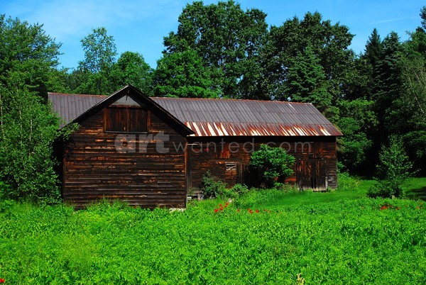 Saratoga Lake Barn & Poppies I