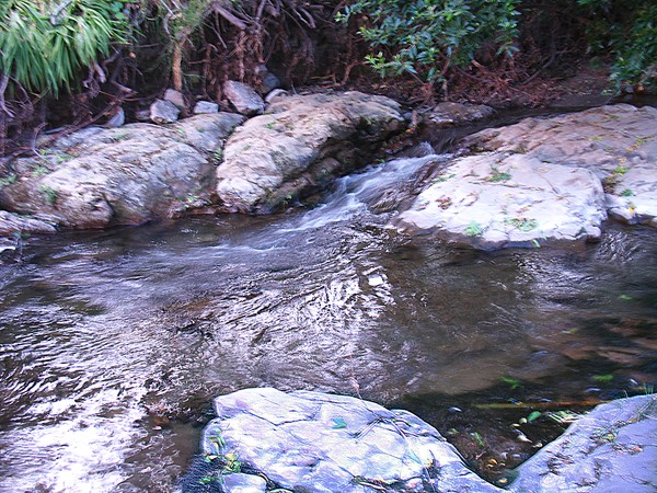 Rippling waters