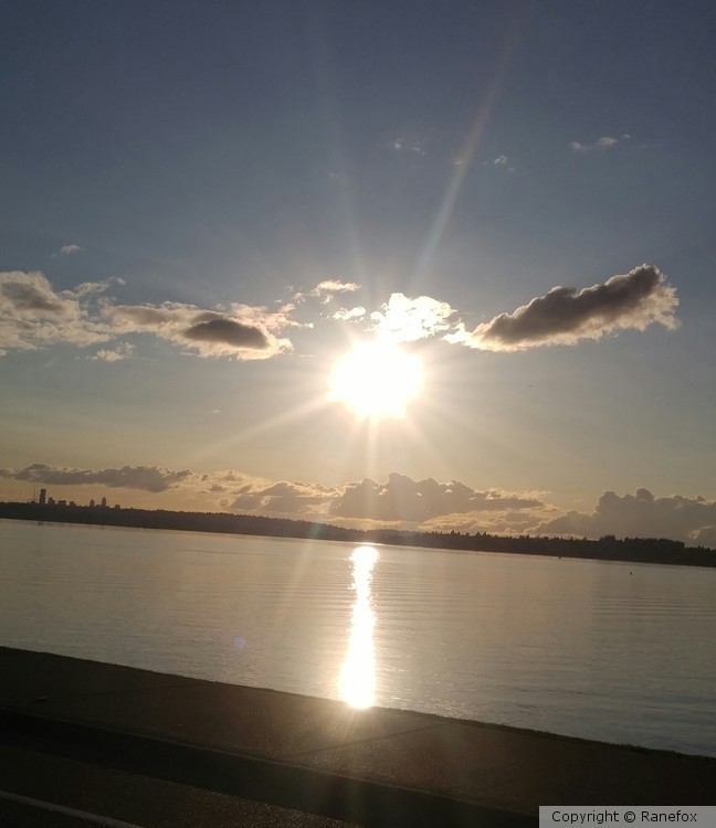 Evening Sky