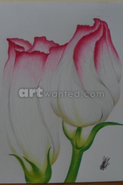 photo 009