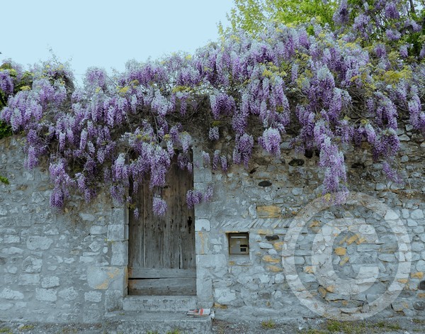Spring in Viviers France