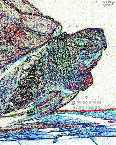Lao Tse's Bejeweled Turtle --Day