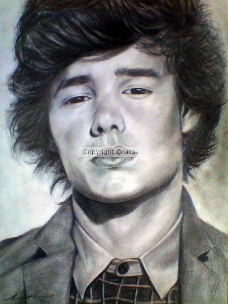 One Direction Liam Payne Original Pencil Drawing