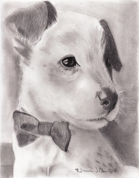 Bow Tie Puppy