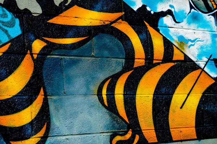 Graffiti 