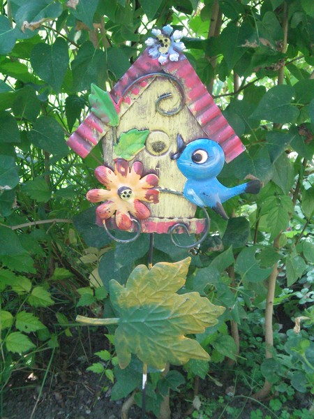 In the garden!!.........