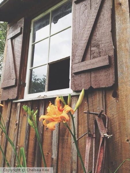 Rustic 