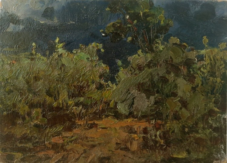Before the rain