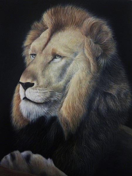 'Leo'