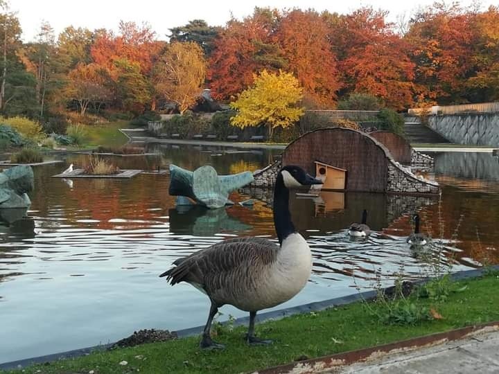 UNITED COLORS OF AUTUMN