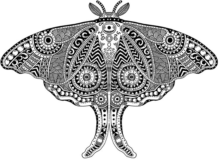 Luna Moth Patterned 