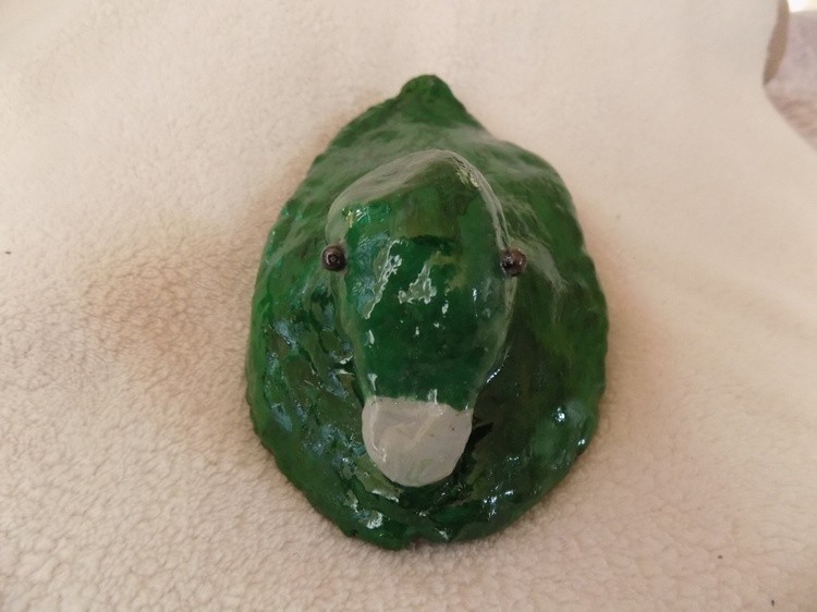 Green Duck Upcycled
